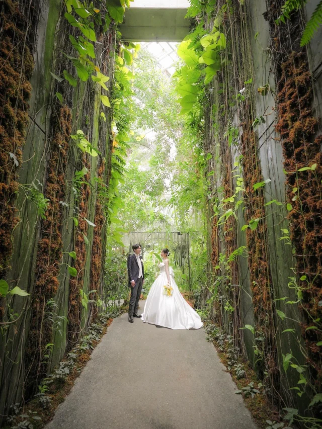 .
牧野植物園の温室で前撮り＾＾
鮮やかなグリーンがお写真映えするスポットです

にこっと微笑み合うおふたりが素敵なお写真たち♪

______________________________

ストーリーでは #オワゾブルー花嫁 
が選んだドレスやブーケを発信中!
是非フォローして当日のイメージアップ
になれば嬉しいです＾＾

@oiseaubleu_kochi 

今月のウェディングフェアはハイライトへ
お得なリニューアルプランも案内中🕊️

______________________________

#オワゾブルー #オワゾブルー高知 #高知 #高知結婚式 #高知結婚式場 #高知ウェディング #高知婚 #結婚式場 #高知フォトウェディング #ウェディングドレス #オワゾブルー花嫁 #高知貸切 #貸切ウェディング #wedding #weddingdress #weddingphotography #高知前撮り #ウェディングブーケ #プレ花嫁 #プレ花嫁準備 #高知プレ花嫁